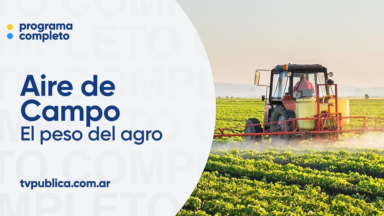 El Aporte del Agro a la Economía Argentina - Aire de Campo