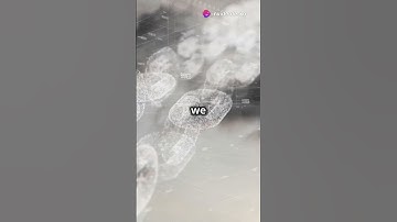 Peaq’s decentralized physical infrastructure networks, or DePIN