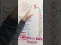 Where is DNA found? BioExplora with Narain #BioExplorawithNarain #biochemist #bio #indiabioscience