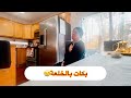 عندنا الدب والتمساح فالجردة 