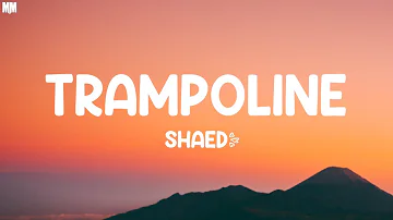 SHAED - Trampoline (Lyrics) |