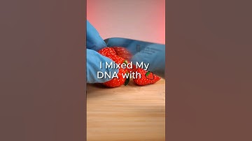 I Mixed My DNA with Strawberry
