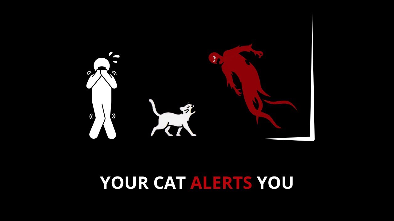 Analog Horror - If Your Cat Cries Like A Baby