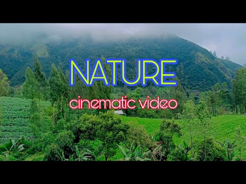 NATURE CINEMATIC VIDEO | Video sinematik alam 2 menit