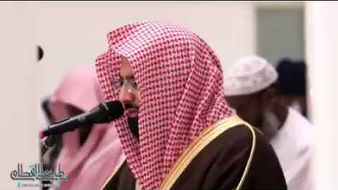 تلاوة هادئة من سورة فصلت للشيخ ناصر القطامي