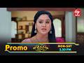 కొడుకు కోడల్ని ధరణి ఆదరిస్తుందా..? | Jeevana Tarangaalu | Mon - Sat @ 3:30 PM On ETV