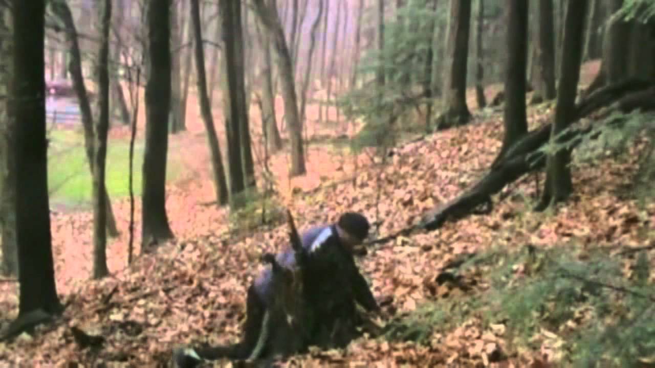 Je hais les arbres [WTF]