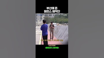 부산에 뜬 원피스 해적단