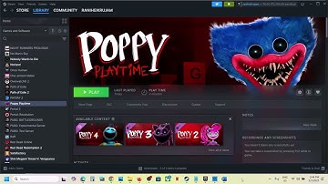 Fix Poppy Playtime Black Screen Issue On PC