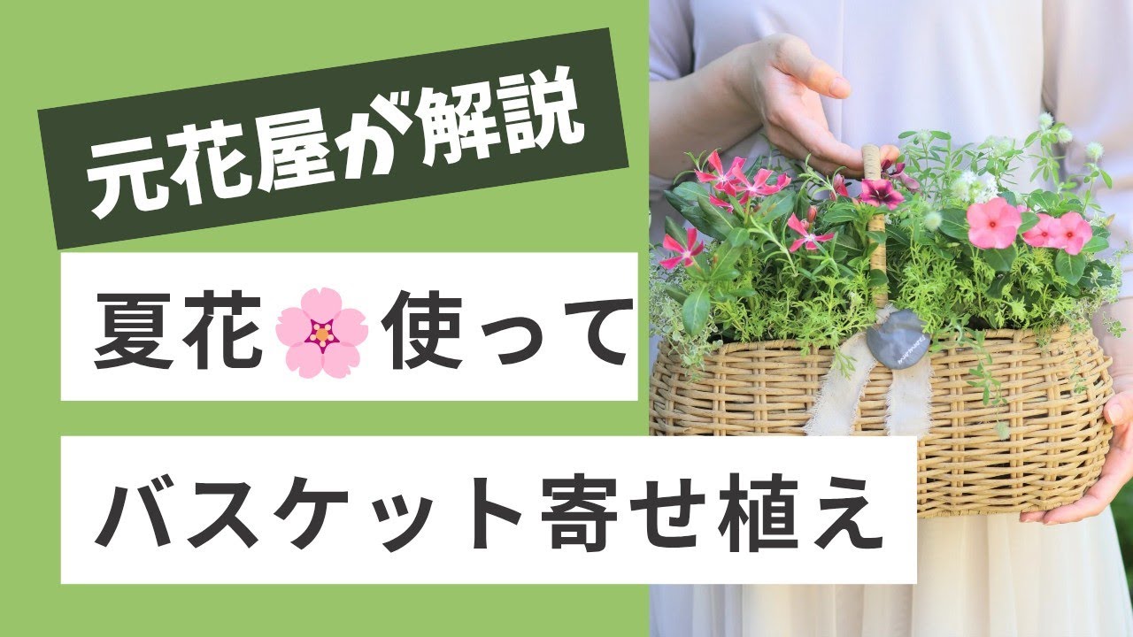 初夏の寄せ植え：No.004】初心者向け！夏花バスケットの作り方《寄せ