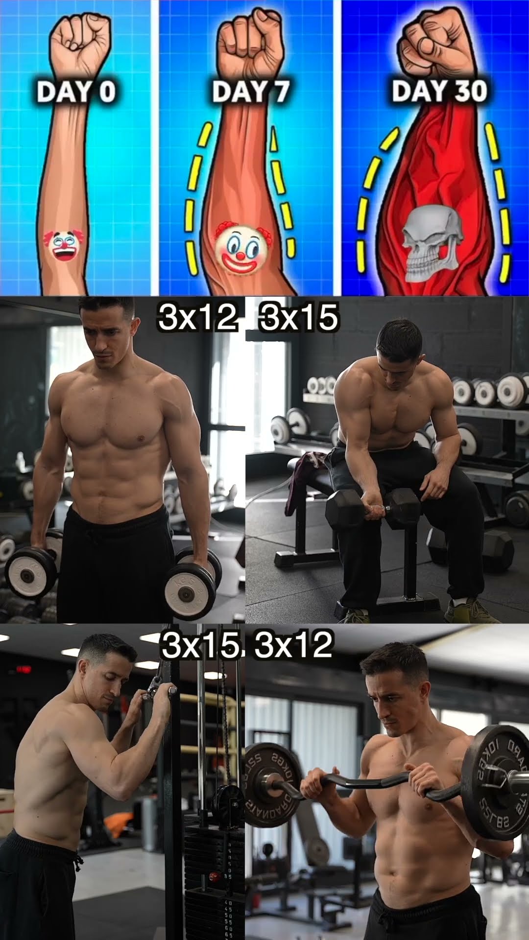 Best forearms workout !! ??