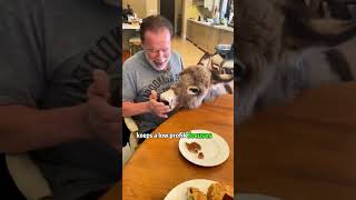 ARNOLD SCHWARZENEGGER'S FOUR KIDS-HOW RICH ARE THEY? Profile