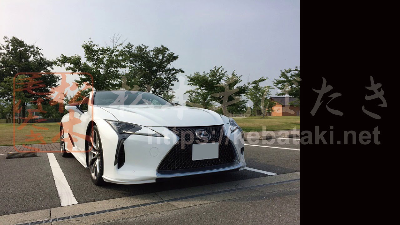 松本毛ばたき 最高級自動車用オーストリッチ毛ばたき