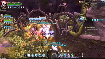 Dragon Nest - Guardian Force Bug