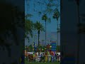 What a lovely day #coachella