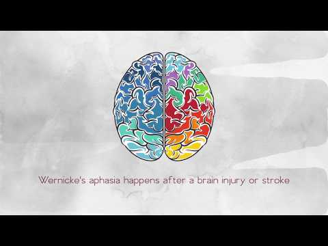 What Is Wernicke&rsquo;s Aphasia