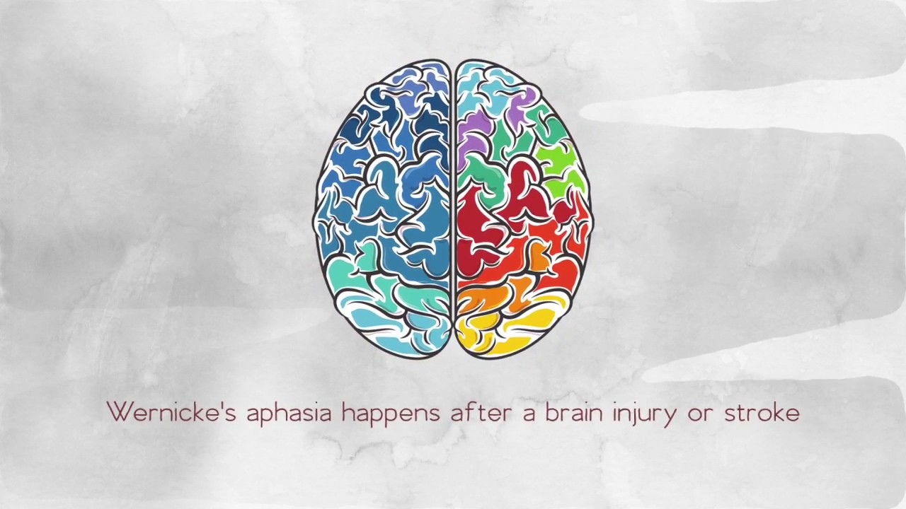 What Is Wernicke'S Aphasia