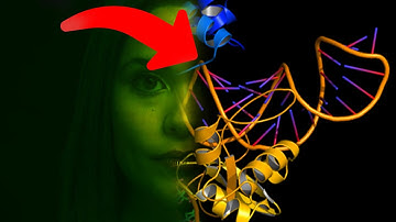 CRISPR Technology. CRISPR-Cas9 Unveiled: Demystifying the Future of Genetic Editing