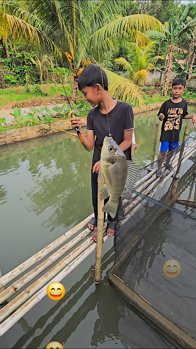 MANCING ANAK NILA DI KERAMBA‼️