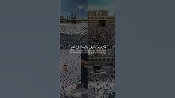 (الحج أشهر معلومات ) بصوت #عبدالرحمن_مسعد#سورة_البقرة#كرومات_الحج