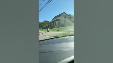 Thumbnail of IMG 0904