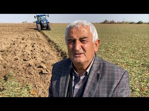Video: Çiftçiler Nasıl Yaşar