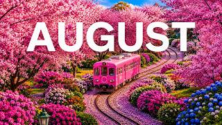 August 2026 – Summer in Full Bloom 8K ☀️ Endless Flower Fields & Golden Morning Landscapes