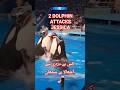 2 Dolphins Attack Jessica Full Video 🐬