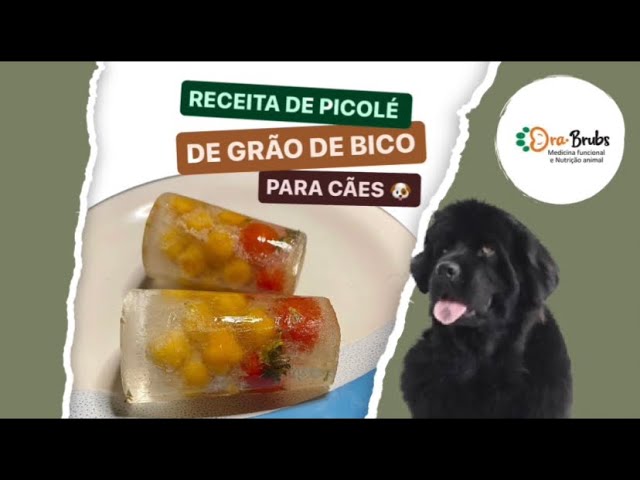 RECEITA DE PICOLÉ DE GRÃO DE BICO P/ CÃE