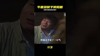 小伙眼淚滴入牛眼,陰陽眼靈光大開!奇幻發生與我同行 #破局電影啊 #懸疑片 #電影推薦 #影視解說 #影評