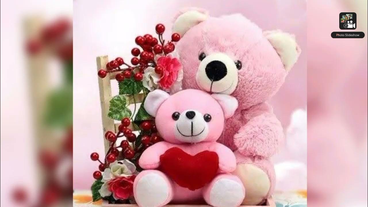 WhatsApp dp images of cute teddy....... - YouTube