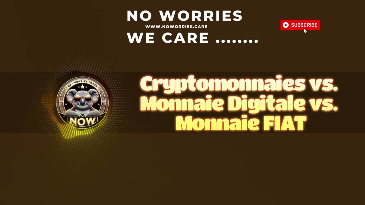 29 Cryptomonnaies vs  Monnaie Digitale vs  Monnaie FIAT | NO WORRIES WE CARE