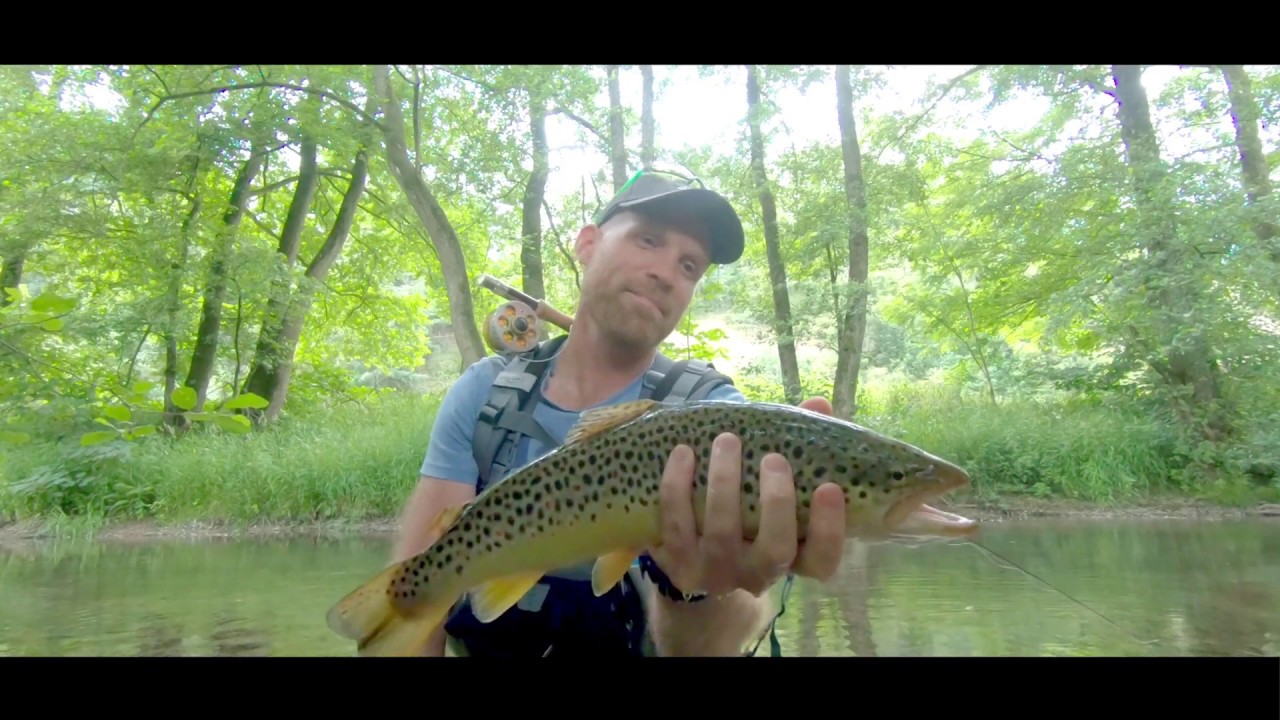 Dryfly flyfishing Germany 2019