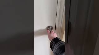THE THING IN YOUR BASEMENT