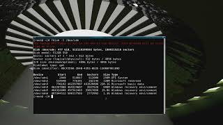 Resizing A Windows 11 Partition Scheme On A Dell Laptop SSD