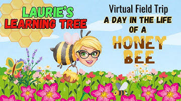 Discover the Busy Life of Honeybees 🐝 | Educational Video for Kids! Virtual Field Trip Fun