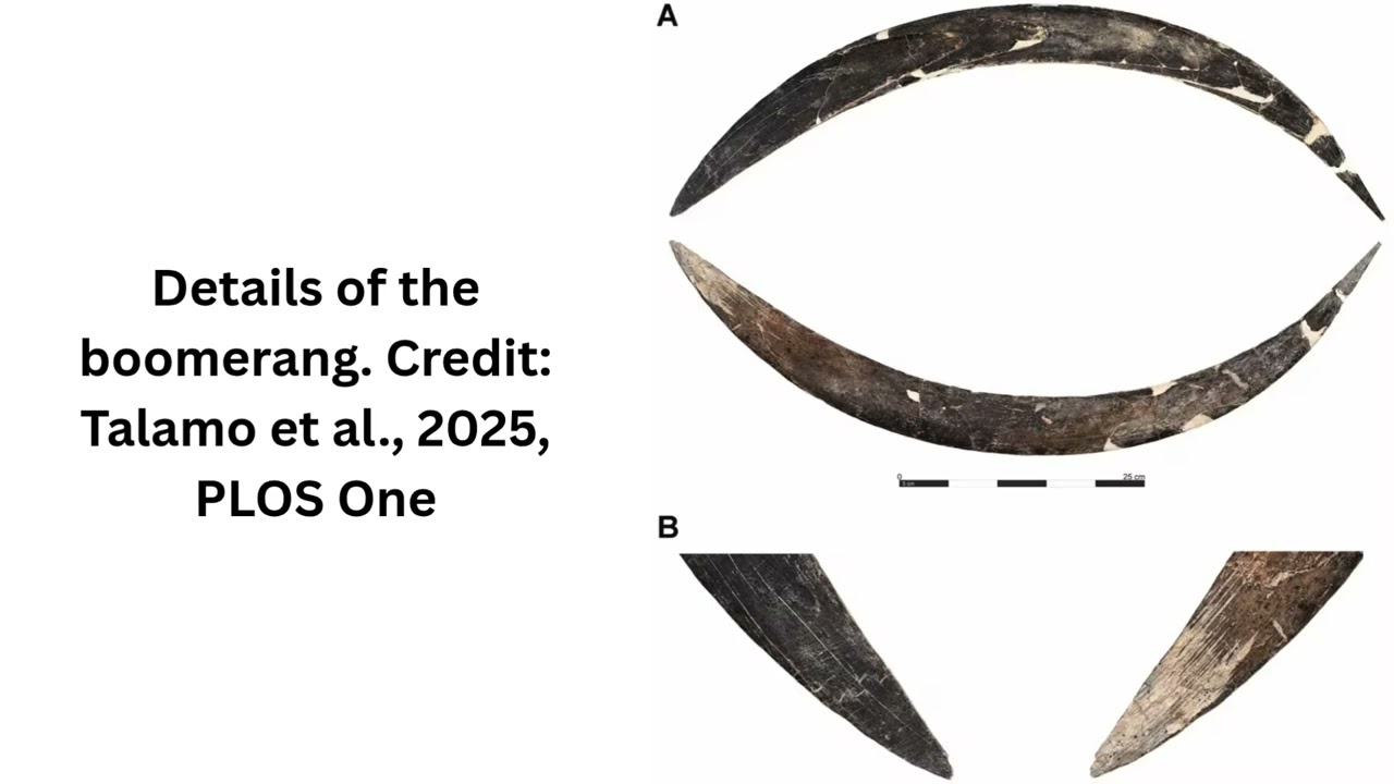 Europe’s Oldest Boomerang: A 40,000-Year-Old Mammoth Ivory Artifact Discovered in Poland