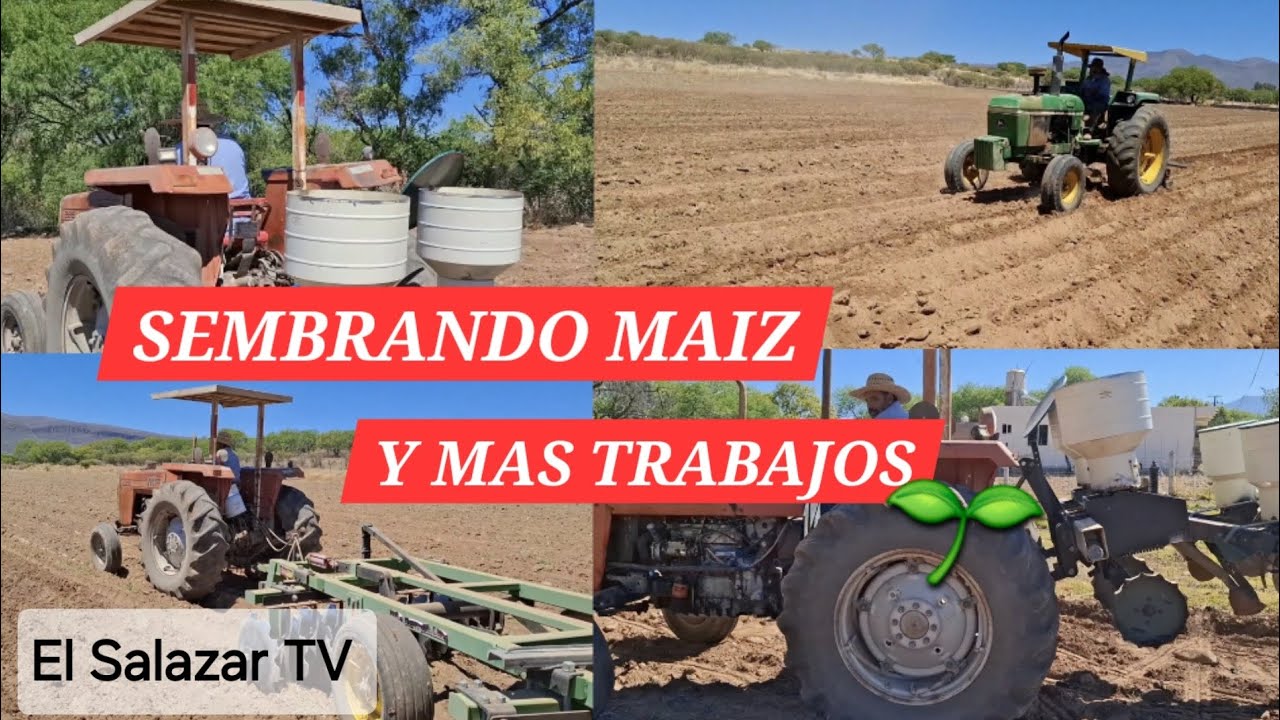 TRACTOR MASSEY FERGUSON 285 🚜 sembrando maíz 🌽 con SEMBRADORA del BAJÍO y + MANEJO |El Salazar TV |