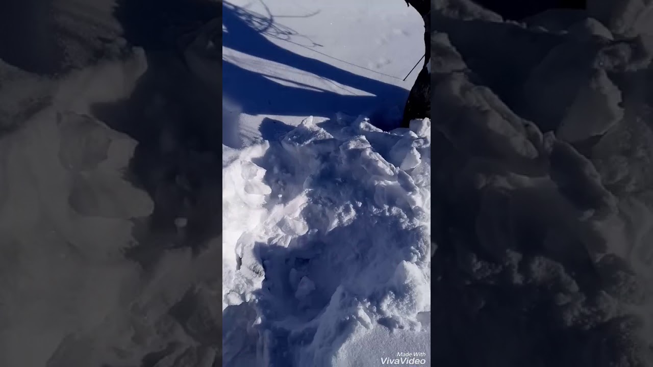 Откопал мотоблок ЗУБР
