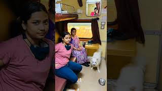 Dog in Train How to travel with Pets in Train How can I book pet on Irctc #doglover #puppy #dog