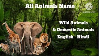 Wild & Domestic Animals Hindi & English