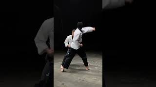 Taekwondo.fight