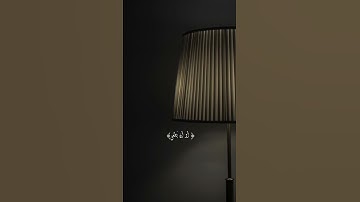 (قال ربنا اننا نخاف) سورة طه القارئ شريف مصطفى 🕊💓