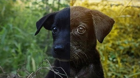 VISUAL FLOW - Lightroom editing tutorial