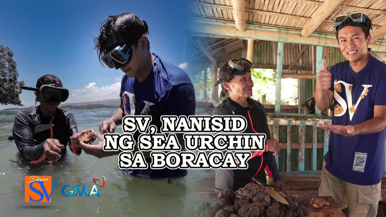 Tulong ni SV para sa Lolang naninisid ng Sea Urchin pang hanap-buhay
