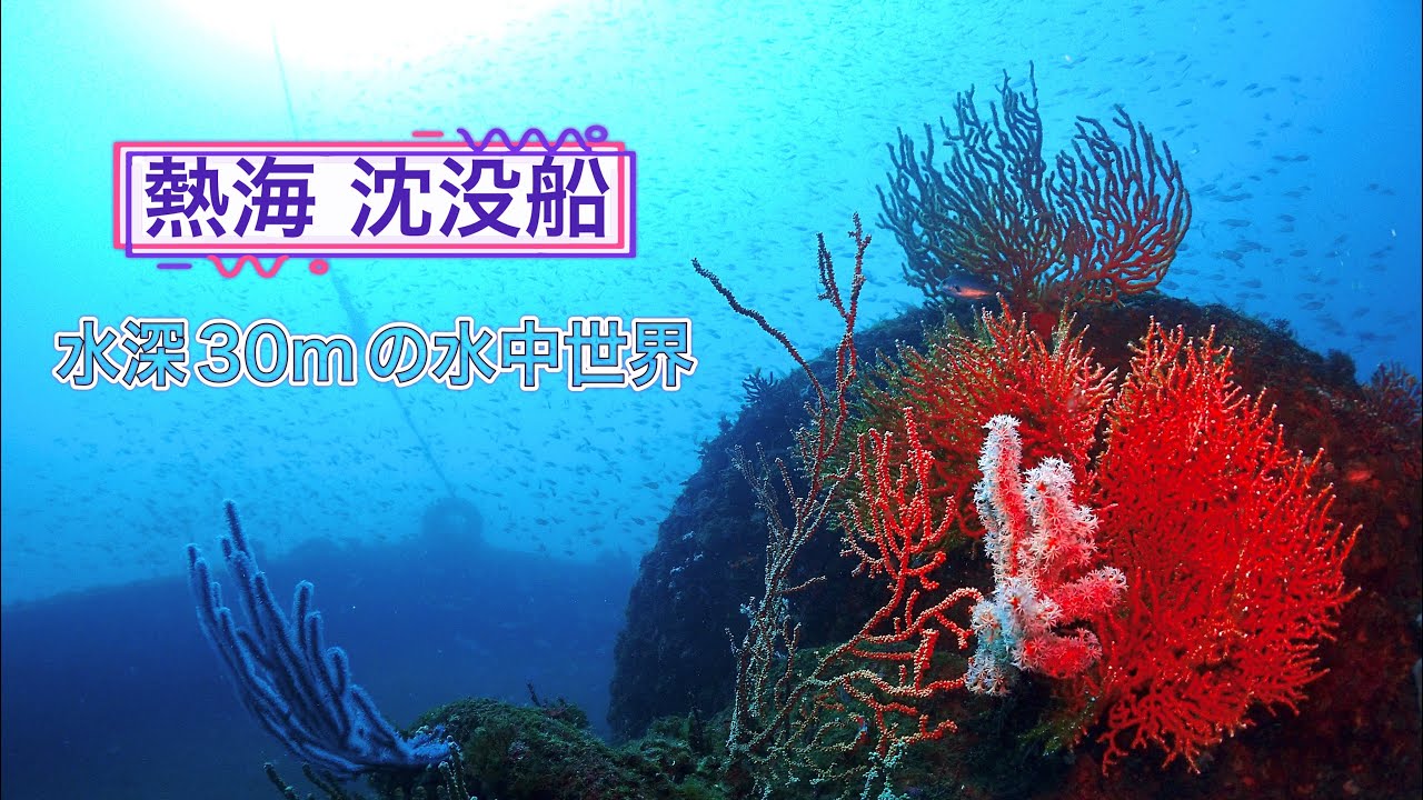 熱海沈没船 水深30mの世界【水中世界】伊豆ダイビングのご案内 - YouTube
