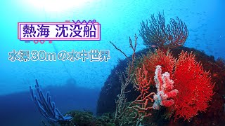 熱海沈没船 水深30mの世界【水中世界】伊豆ダイビングのご案内