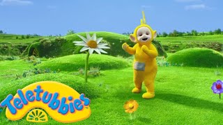 Teletubbies Laa Laa And Giant Flowers 2 Hours Official Season 16 Compilation