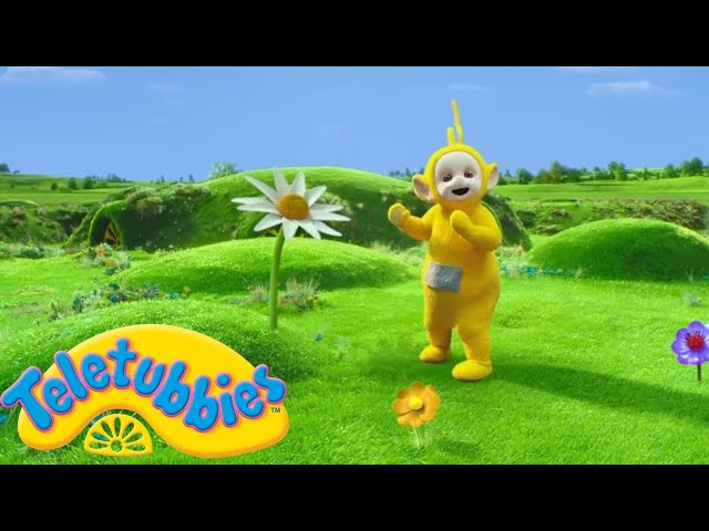 Teletubbies | Laa Laa and Giant Flowers | 2 HOURS | Official Season 16 Compilation class=