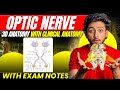 Neuroanatomy- Optic Nerve | Visual Pathway | MBBS 1st Year | Explanation With Exam Notes- MBBS World